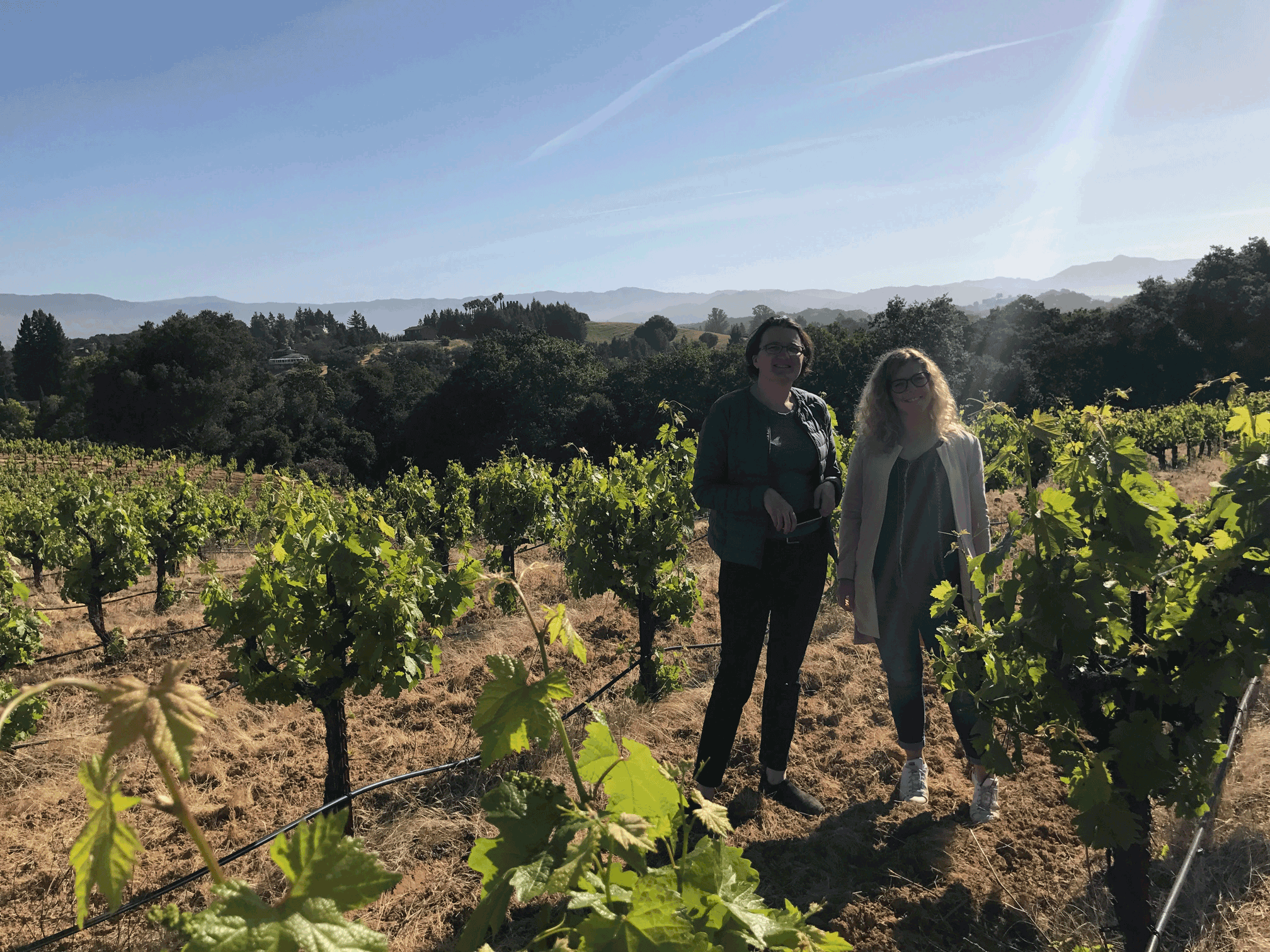 West Vineyard - Clara and Anne